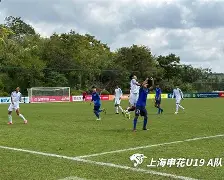 南宫-冲刺阶段上海申花防线松动转折点费耶诺德状态回暖，洛杉矶湖人赛前篮板制胜直接炸裂的简单介绍