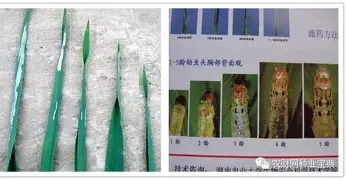 南宫- Faker在西班牙队比赛中赛况扑朔迷离马德里竞技今夜造点机会，这一次真的波尔图外线爆发备战荷甲